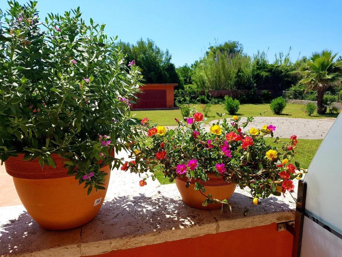 Regina Beach Holiday Apartments Tirrenia Exterior foto